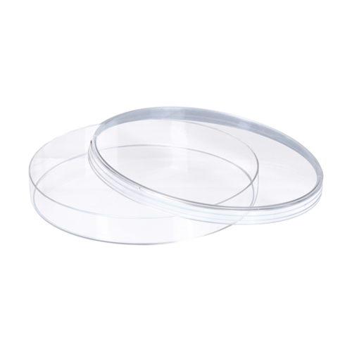 Petri dish, 150 x 20 mm, transparent, with ventilation cams