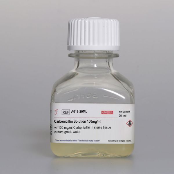 Carbenicillin Solution